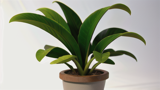 水草との相性で選ぶ水草